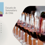 Curso Intensivo de Vinos: ¡Últimos Cupos en Chile!