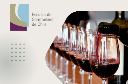 Curso Intensivo de Vinos: ¡Últimos Cupos en Chile!