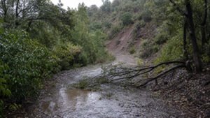 CONAF mantiene cerrado Lago Peñuelas y otras dos áreas protegidas hasta el viernes