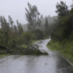 Temporal deja a Quintay sin luz y bloquea la ruta hacia Tunquén por caída de árboles