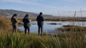Jóvenes de Valparaíso pueden postular proyectos climáticos por hasta $4,5 millones