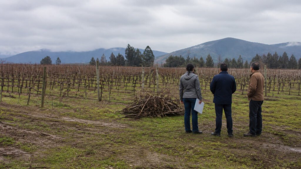 Carabineros de Casablanca refuerzan fiscalización de quemas agrícolas