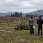 Carabineros de Casablanca refuerzan fiscalización de quemas agrícolas