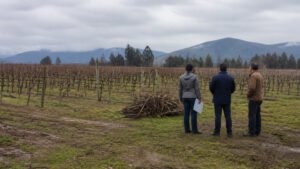 Carabineros de Casablanca refuerzan fiscalización de quemas agrícolas