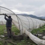 INDAP destina $350 millones a recuperación agrícola en Valparaíso