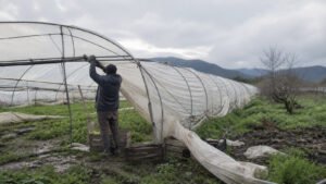 INDAP destina $350 millones a recuperación agrícola en Valparaíso