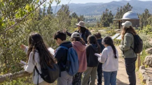 Casablanca licita salidas pedagógicas para dos escuelas municipales