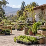 Expo Plantarium reunirá viveros y paisajismo durante dos días en Quillota