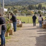 Municipio abre cupos para emprendedores en la Fiesta de Lagunillas