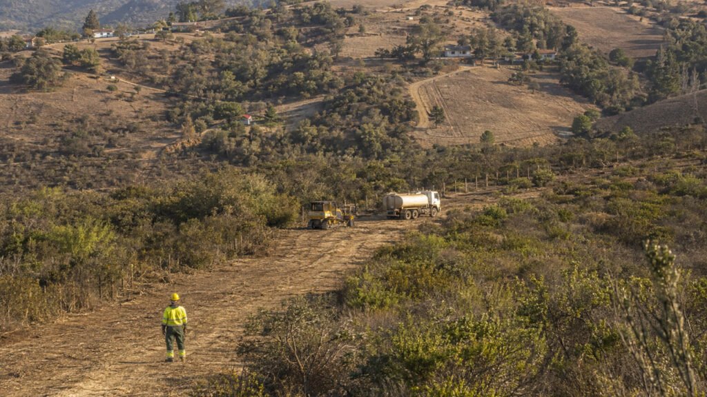 Valparaíso proyecta 30 brigadas y 200 km de cortafuegos ante incendios