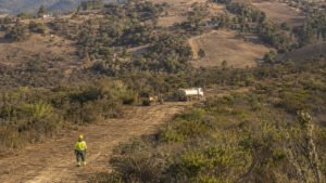 Valparaíso proyecta 30 brigadas y 200 km de cortafuegos ante incendios