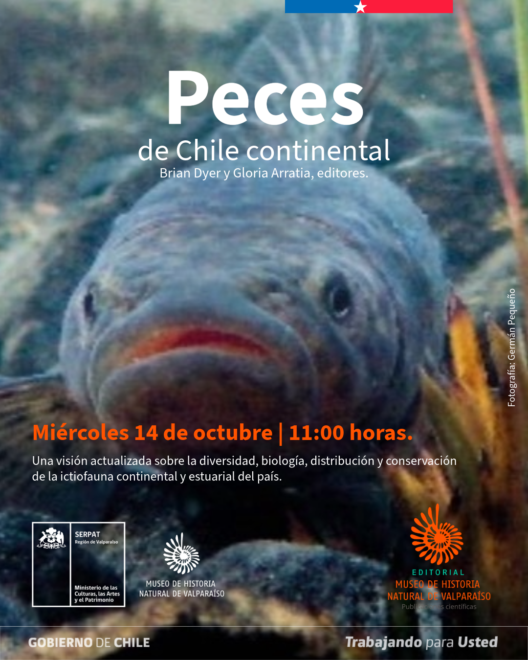 Imagen oficial del lanzamiento del libro Peces de Chile continental, editado por Brian Dyer y Gloria Arratia