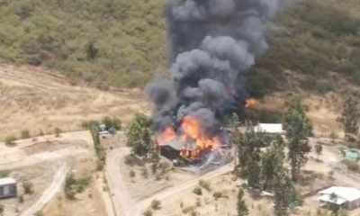 incendio en zapallar: evacúan la foresta, valparaíso
