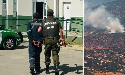 detenido en limache por incendio forestal: chispas de orilladora causaron siniestro