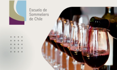 curso intensivo de vinos: ¡Últimos cupos en chile!