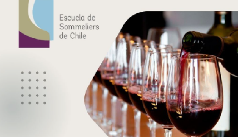 curso intensivo de vinos: ¡Últimos cupos en chile!