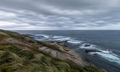 Embarcación artesanal frente a la costa de la Región de Valparaíso