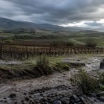 Llovizna sobre viñedos y caminos rurales de Casablanca