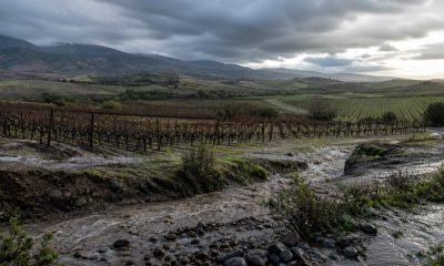 Llovizna sobre viñedos y caminos rurales de Casablanca