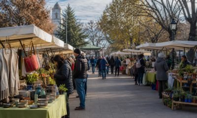 Feria comunitaria con puestos de emprendimiento y visitantes durante una jornada regional