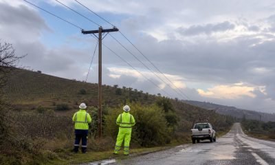 Personal técnico inspecciona una red eléctrica desde una distancia segura