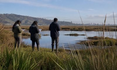 Equipo técnico observa un humedal de la Región de Valparaíso