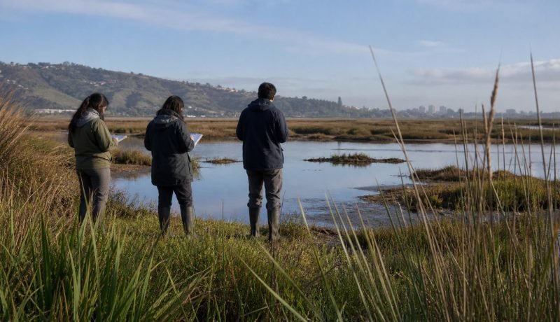 Equipo técnico observa un humedal de la Región de Valparaíso