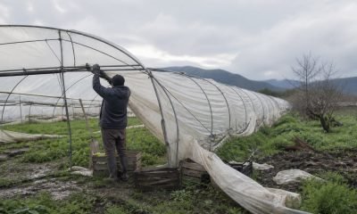 Trabajador revisa un invernadero en un entorno agrícola rural