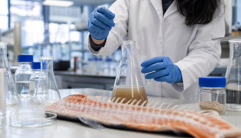 Investigadora analiza residuos de salmón en un laboratorio de biotecnología