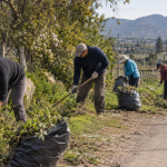 Voluntarios realizan labores de desmalezado en un camino rural de Casablanca