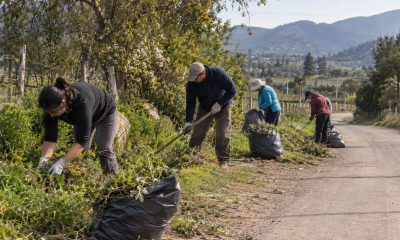 Voluntarios realizan labores de desmalezado en un camino rural de Casablanca