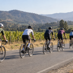 Pelotón de ciclistas de ruta avanza por un camino asfaltado entre viñedos de Casablanca