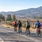 Cinco ciclistas recorren un camino rural entre viñedos del valle de Casablanca