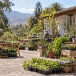 Viveristas preparan plantas y almácigos en el patio de una casona rural en una imagen editorial referencial