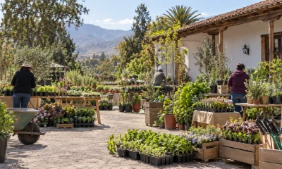 Viveristas preparan plantas y almácigos en el patio de una casona rural en una imagen editorial referencial