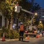 Cuadrilla realiza poda preventiva junto a una red eléctrica durante la noche