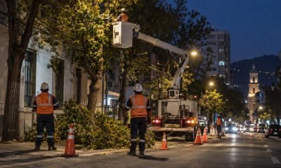 Cuadrilla realiza poda preventiva junto a una red eléctrica durante la noche