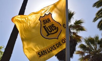san luis de quillota: 106 años de pasión, historia y legado canario