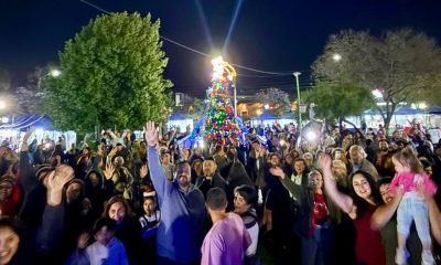 navidad en la cruz: ¡encendido del Árbol y celebraciones!