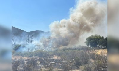 incendio forestal en la calera: bomberos y conaf en acción