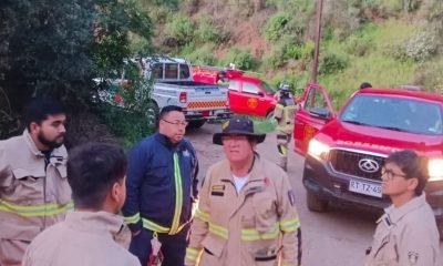 rescate en cerro el melón: mujer salvada tras caída en palos quemados