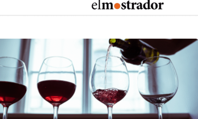 vino y pisco: chile reconoce sus bebidas nacionales