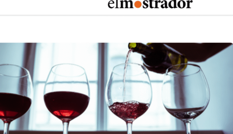 vino y pisco: chile reconoce sus bebidas nacionales