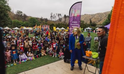 feria kids halloween en jardín botánico viña: shows, disfraces y diversión familiar