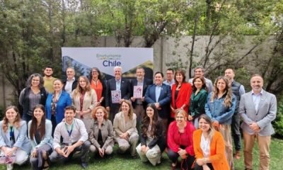 enoturismo chile: calendario vendimias 2026 y mapa interactivo