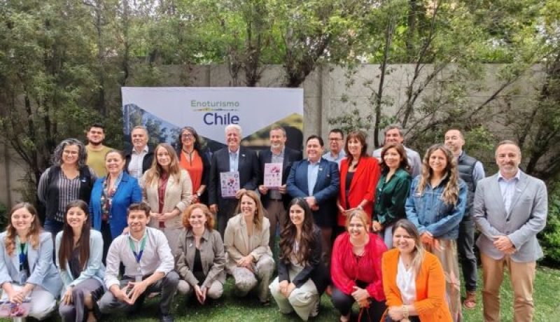 enoturismo chile: calendario vendimias 2026 y mapa interactivo