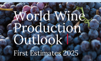 producción de vino en chile cae 10% según oiv: impacto climático y global