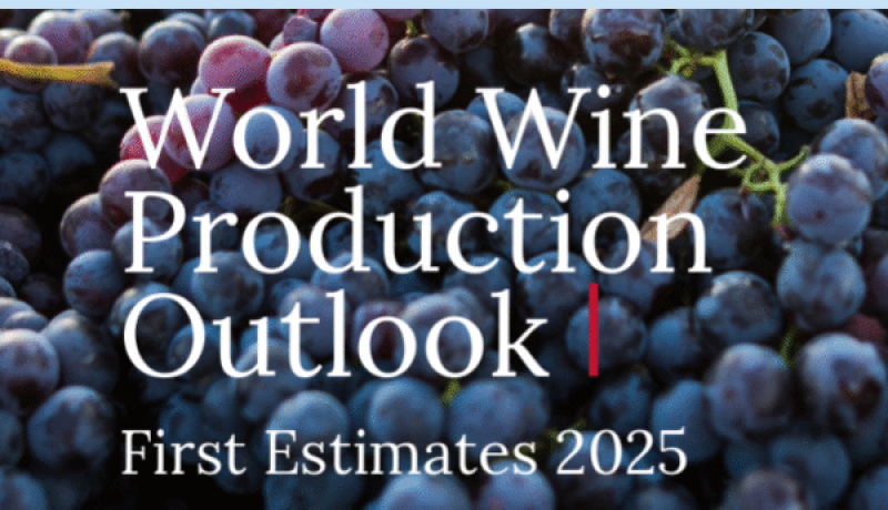 producción de vino en chile cae 10% según oiv: impacto climático y global