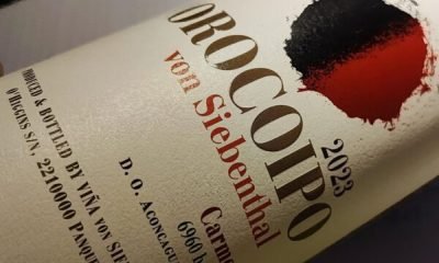 orocoipo carmenere: la nueva joya de von siebenthal desde panquehue