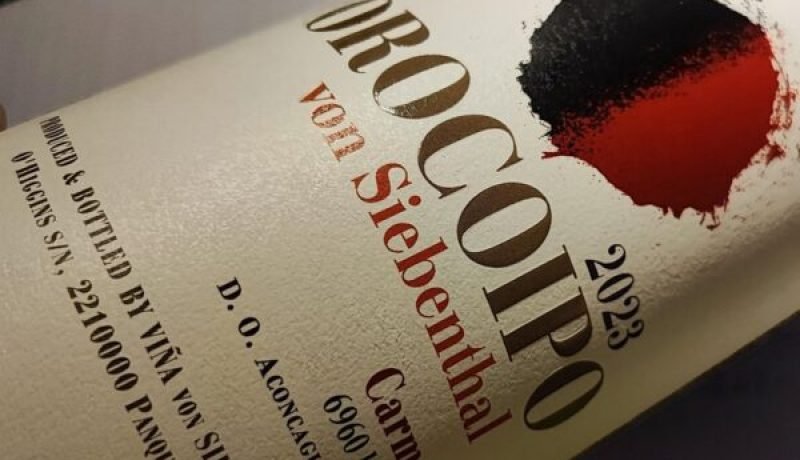 orocoipo carmenere: la nueva joya de von siebenthal desde panquehue